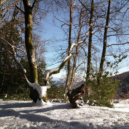 B&B Fromenteau Ternant  Dış mekan fotoğraf