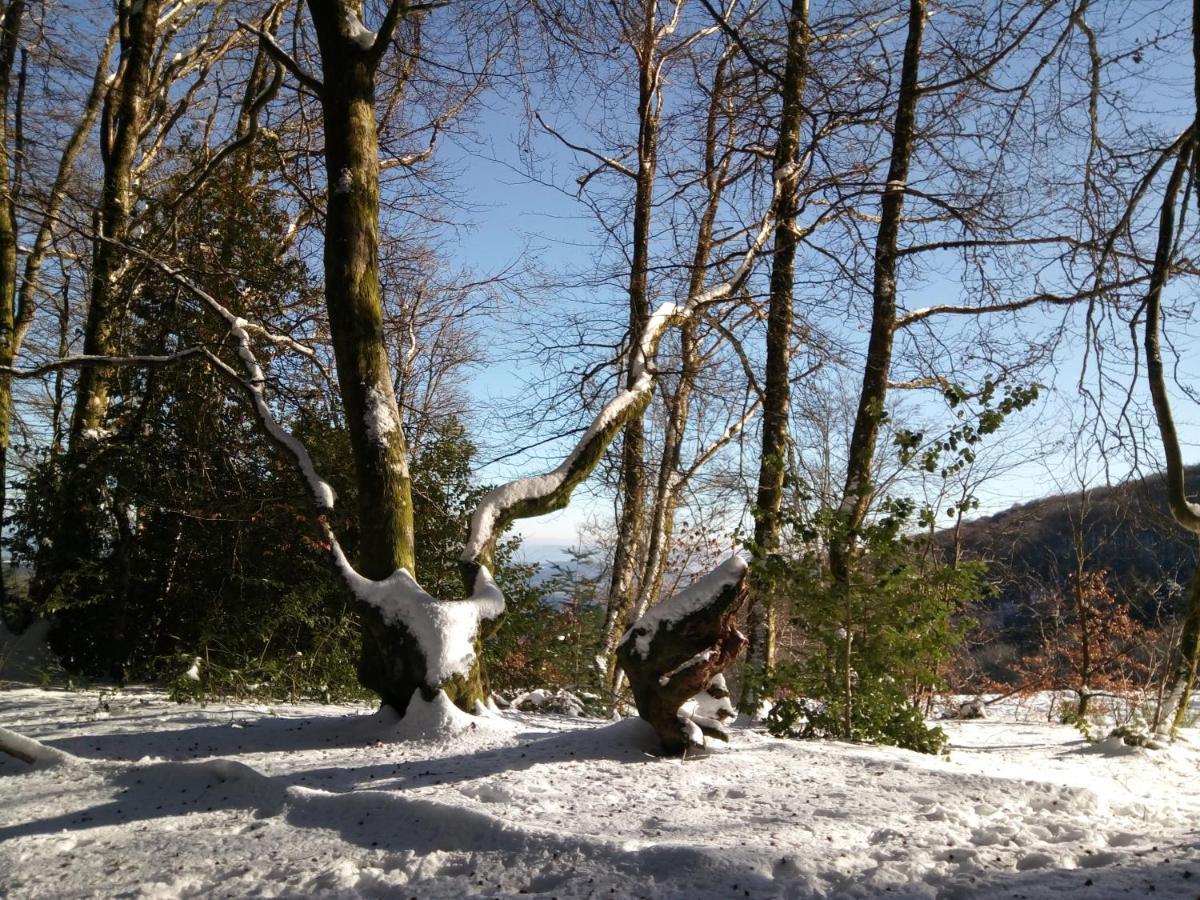 B&B Fromenteau Ternant  Dış mekan fotoğraf